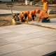 Arbeiders in oranje vesten leggen betonklinkers op industrieterrein, compactor op zandbedding, gouden middaglicht op textuur.